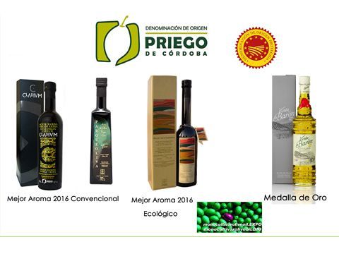Las cuatro marcas amparadas por la D.O. prieguense que han sido premiadas en Milán. (Foto: Cedida)
