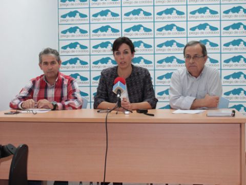 Campos, Ceballos y Forcada, esta mañana durante su comparecencia ante los medios. (Foto. R. Cobo)