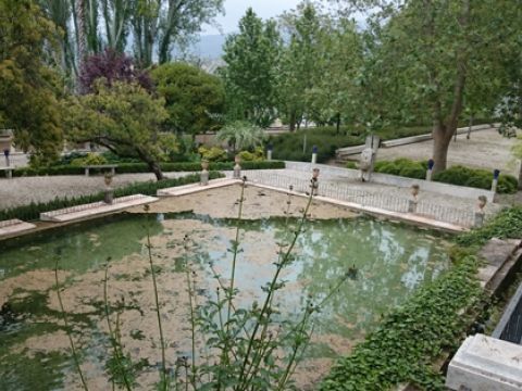 Aspecto que presenta el estanque del histórico jardín. (Foto: R. Cobo)
