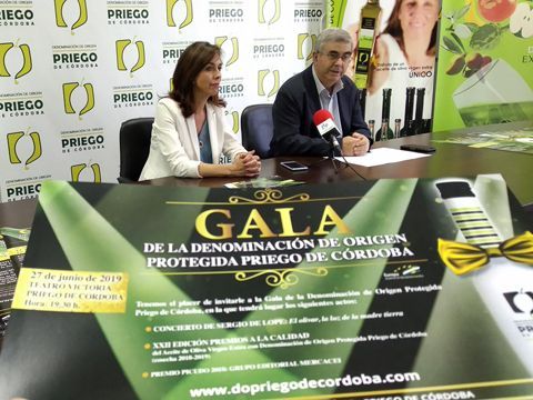 Ceballos y Serrano durante la presentación de los premios. (Foto: R. Cobo)
