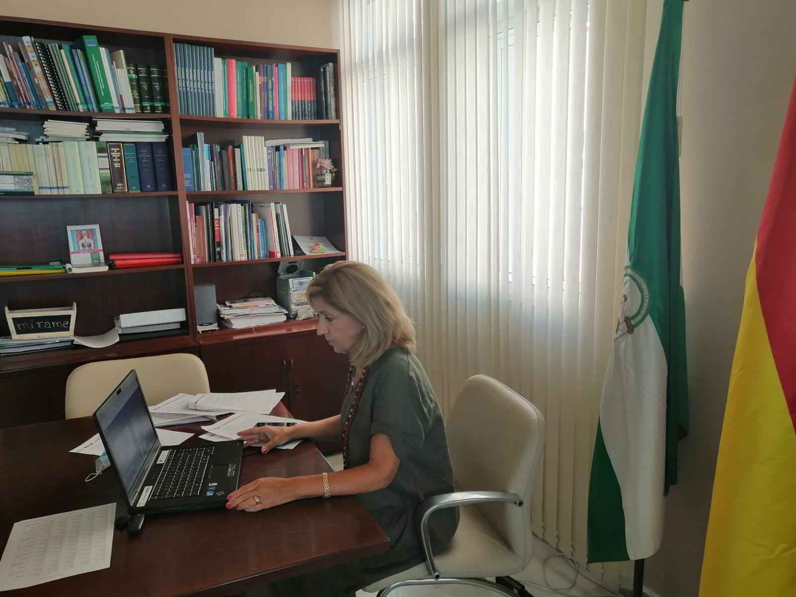 María Jesús Botella, delegada territorial de Salud y Familias.