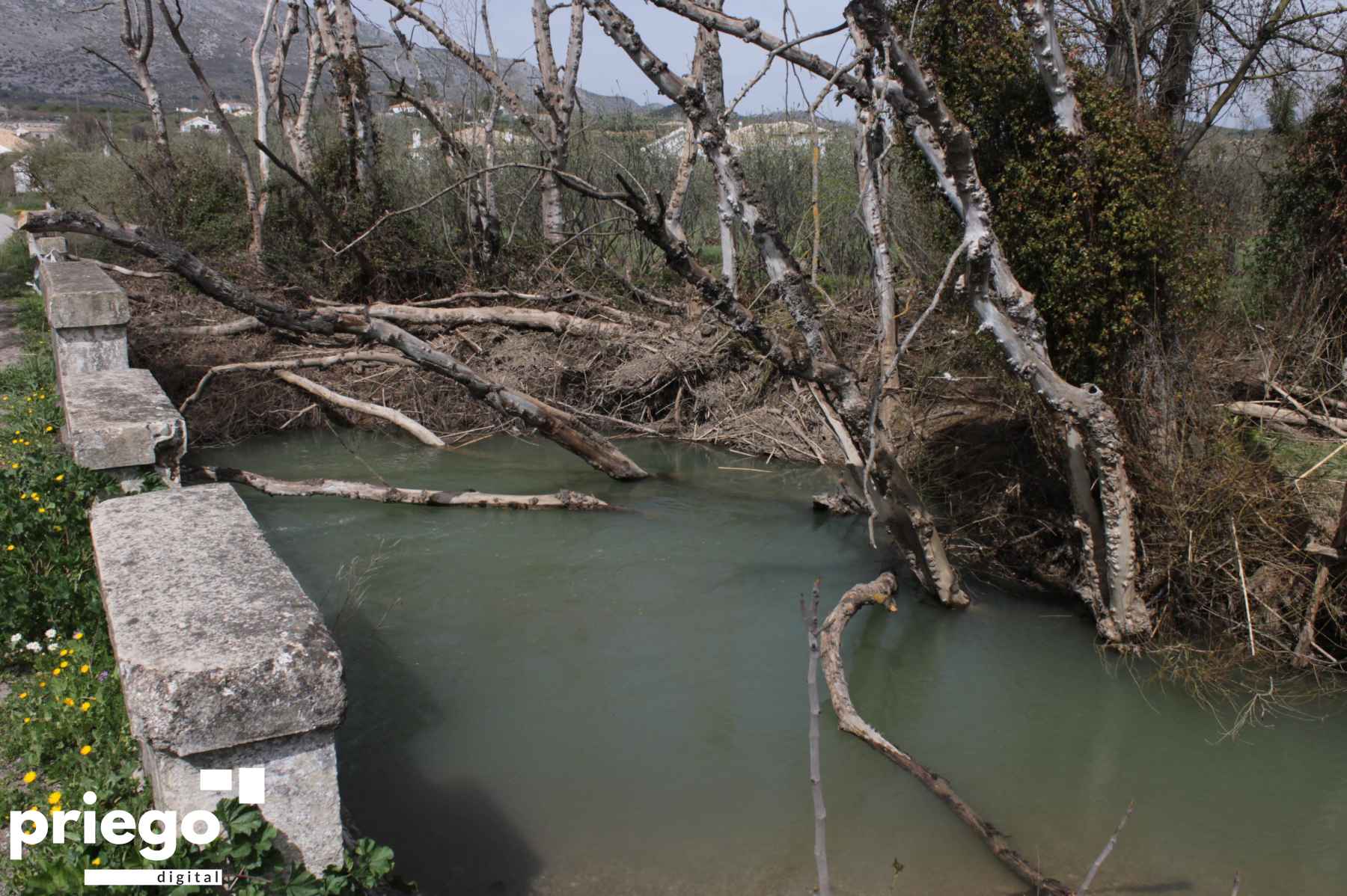 Uno de los proyectos plantea actuar en el río Zagrilla.