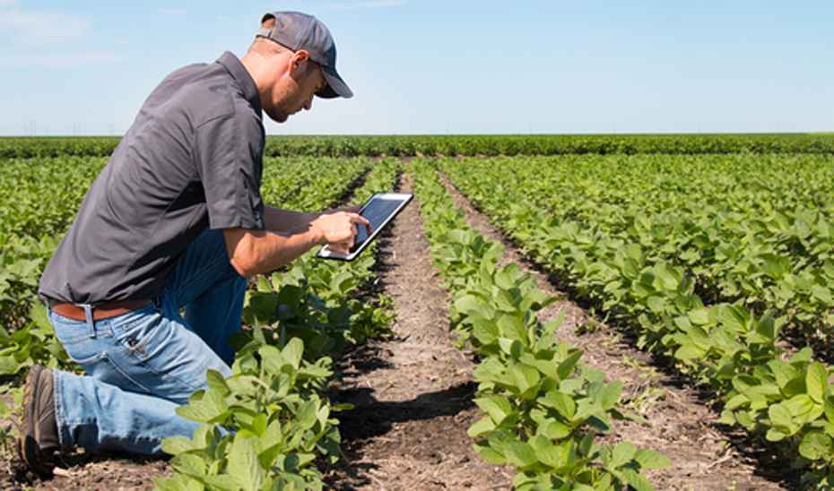 Un joven agricultor hace uso de las nuevas tecnologías aplicadas al sector agroganadero.