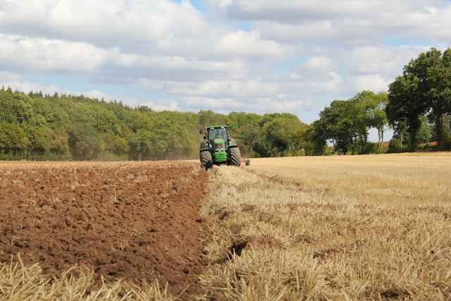 Labores agrícolas.