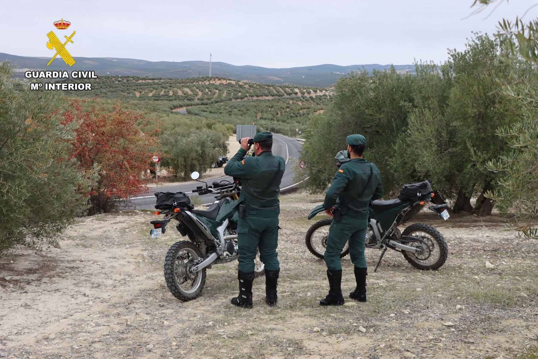 Agentes del SEPRONA.