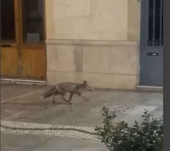 Captura del vídeo que circula por redes sociales.