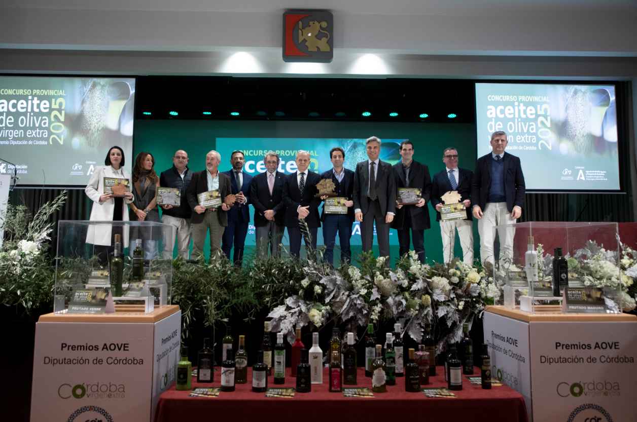 Autoridades y galardonados, ayer en el salón de actos de la Diputación.