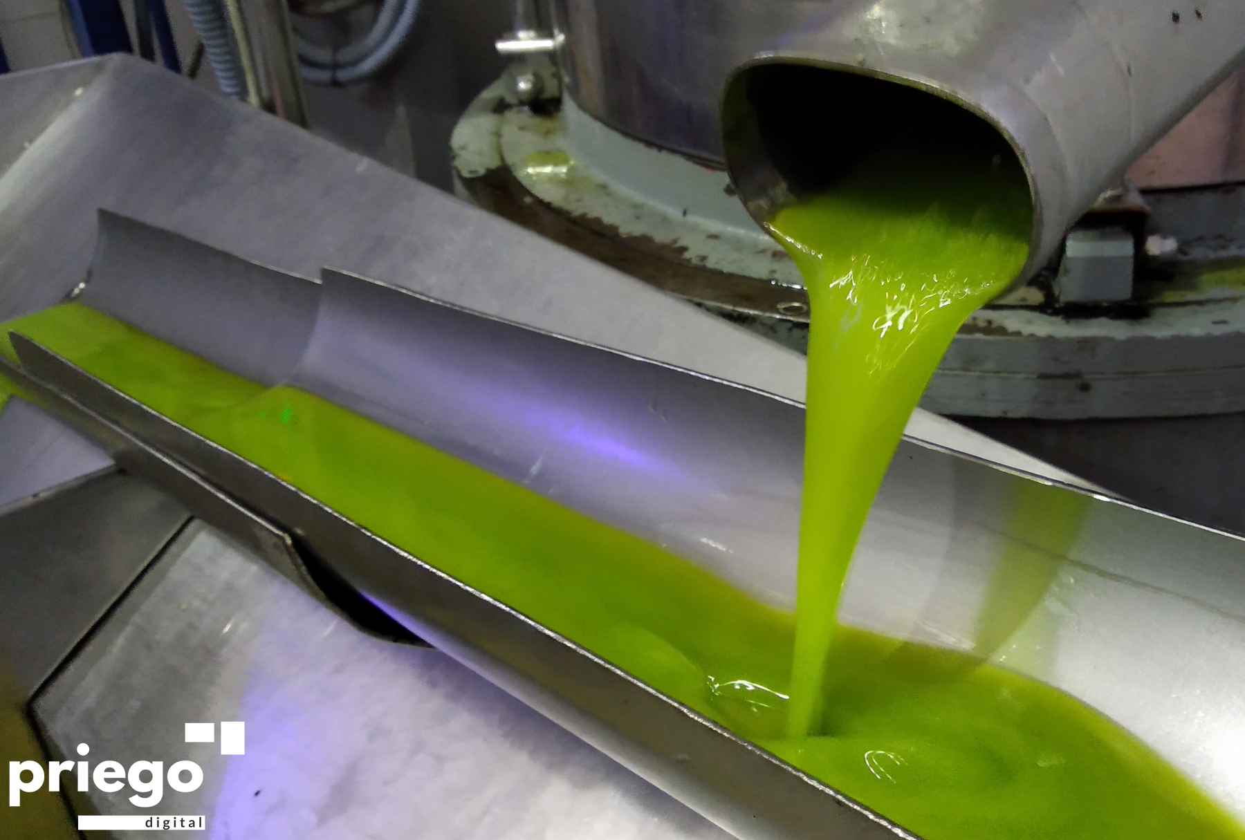Extracción de AOVE en una almazara prieguense.