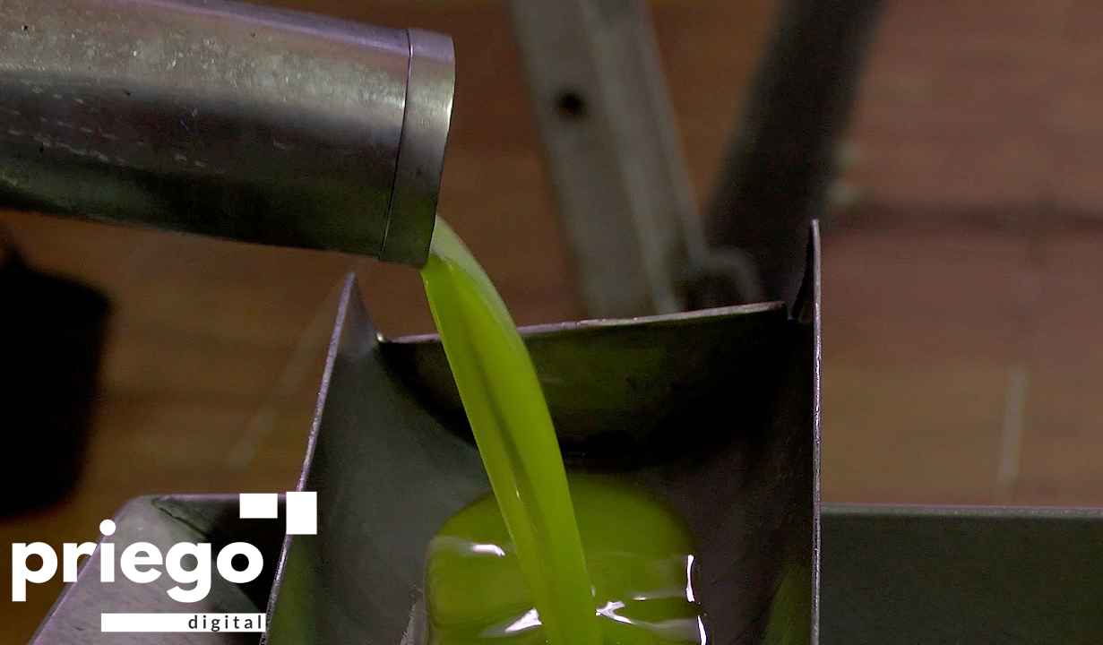 Extracción de AOVE en una almazara prieguense.