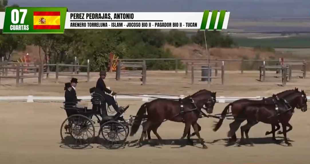 Imagen de la actuación de Antonio Pérez Pedrajas en doma.