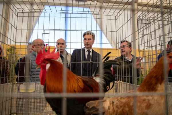 Imagen de la edición del pasado año de AVICOR.