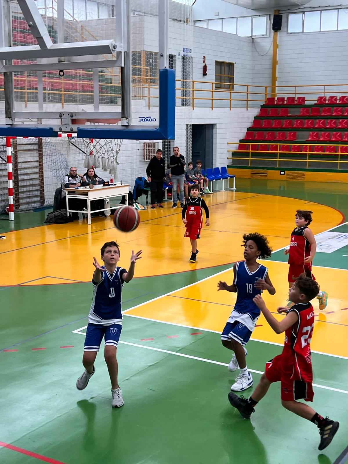 Baloncesto local en auge.