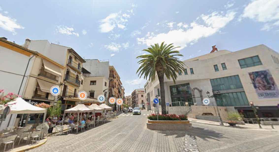 Vista de la emblemática palmera del Palenque.