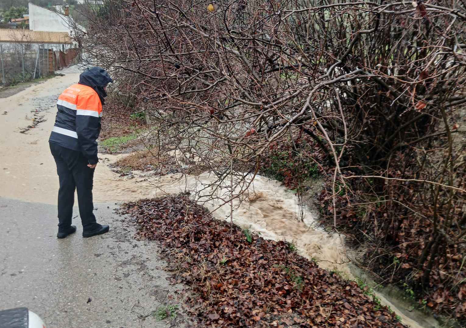 Uno de los arroyos del término municipal desbordado.
