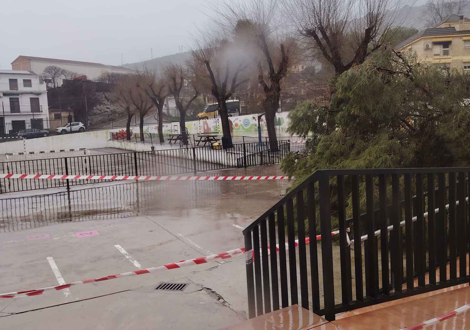 Patio del CEIP Ángel Carrillo con uno de los árboles que ayer se caía a causa del fuerte viento.
