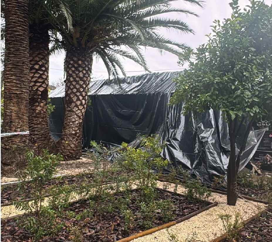 Imagen de los nichos afectados.