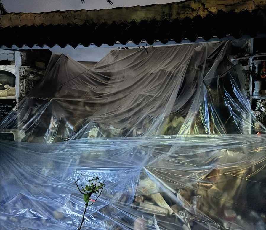 Imagen de los nichos afectados.