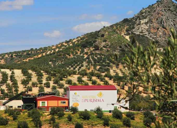 Vista de las instalaciones de La Purísima.