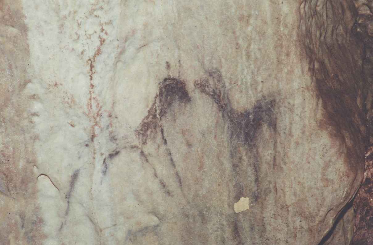 Pinturas halladas en la cueva.