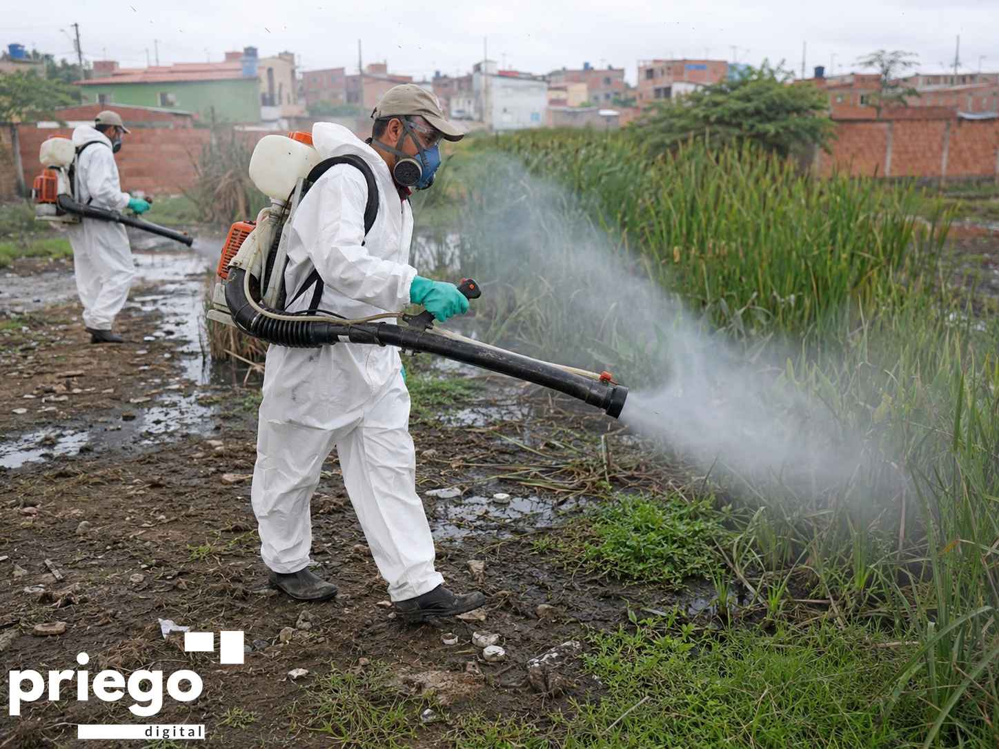 Labores de fumigado en zonas con agua estancada.