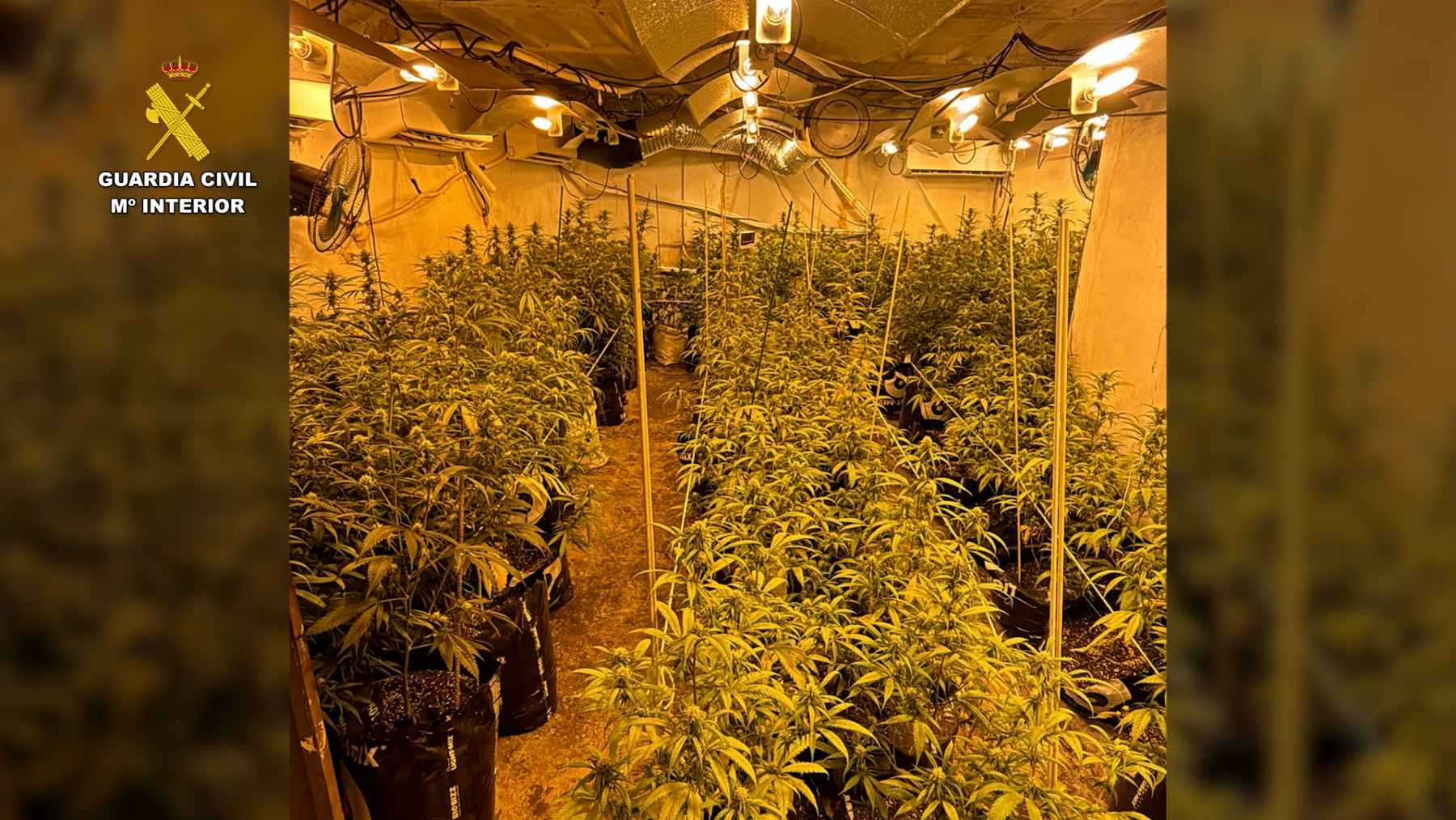 La Guardia Civil ha desmantelado en Córdoba una plantación ‘indoor’ de marihuana.