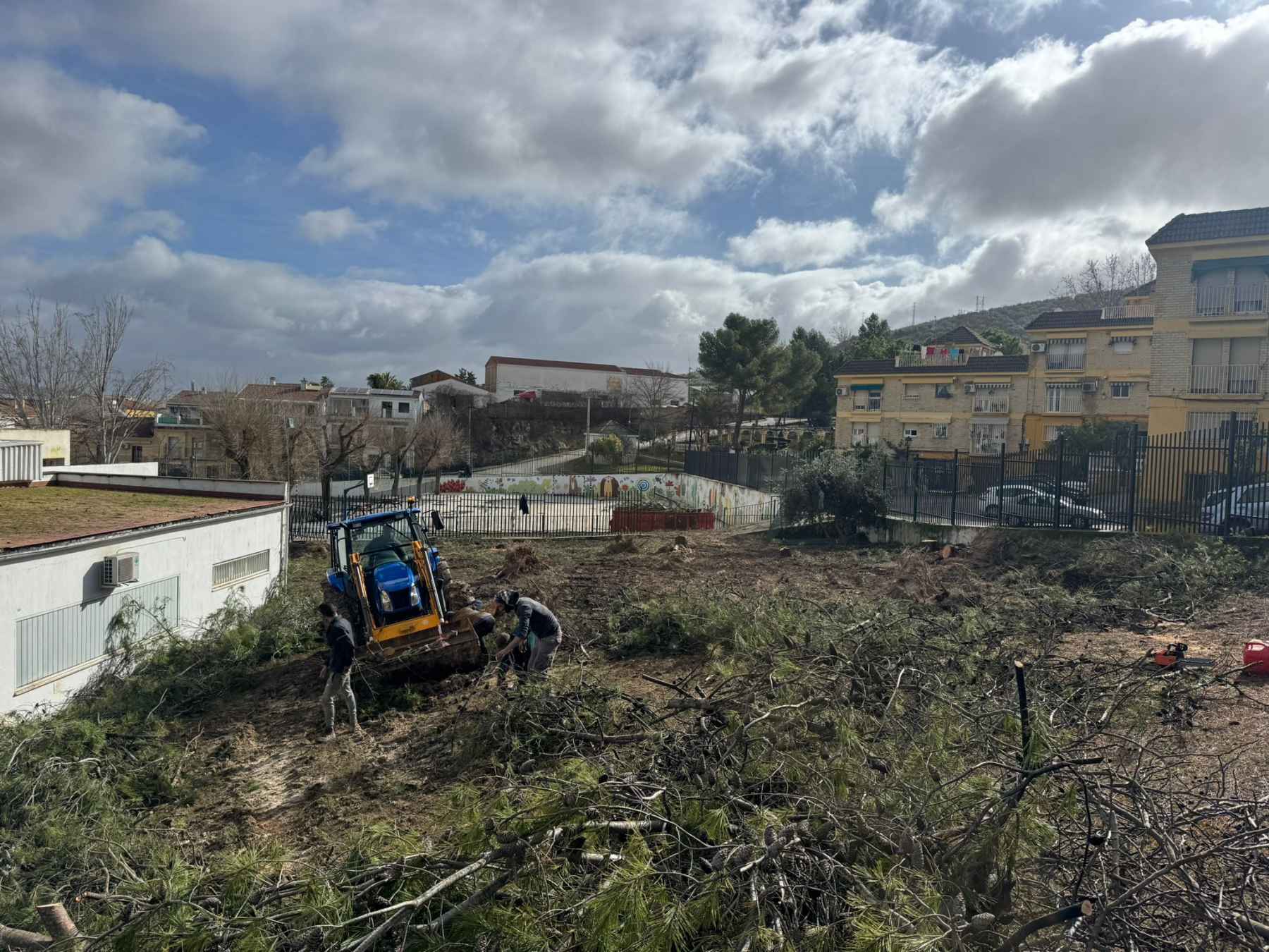 Árboles caídos en el IES Fernando III