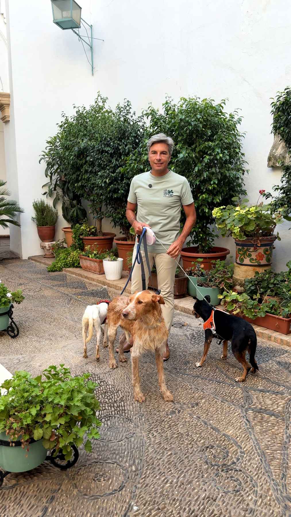 Más del 60% de los perros recogidos por el servicio de la Diputación encuentra una nueva familia.