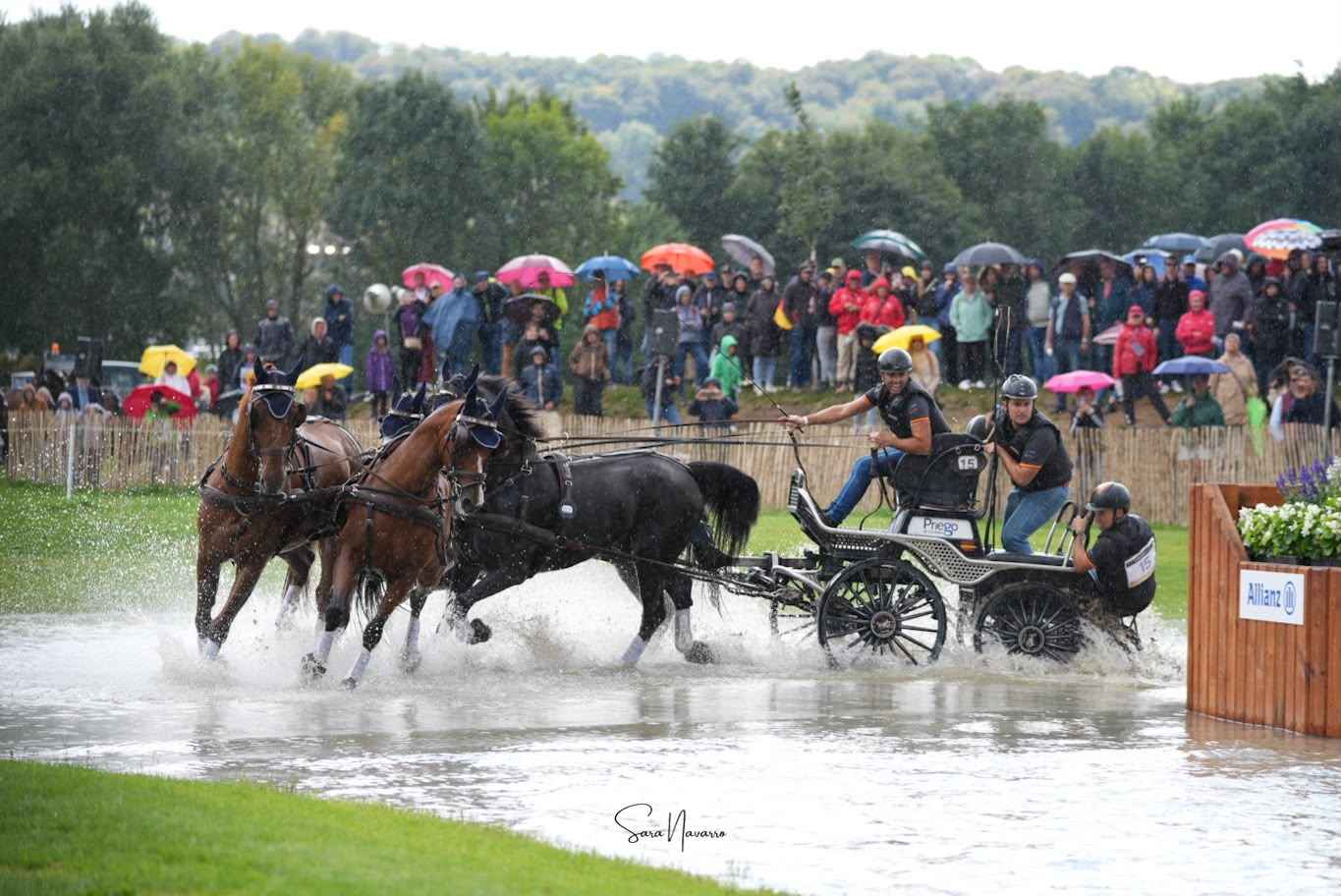 Imagen de la prueba de Maratón.