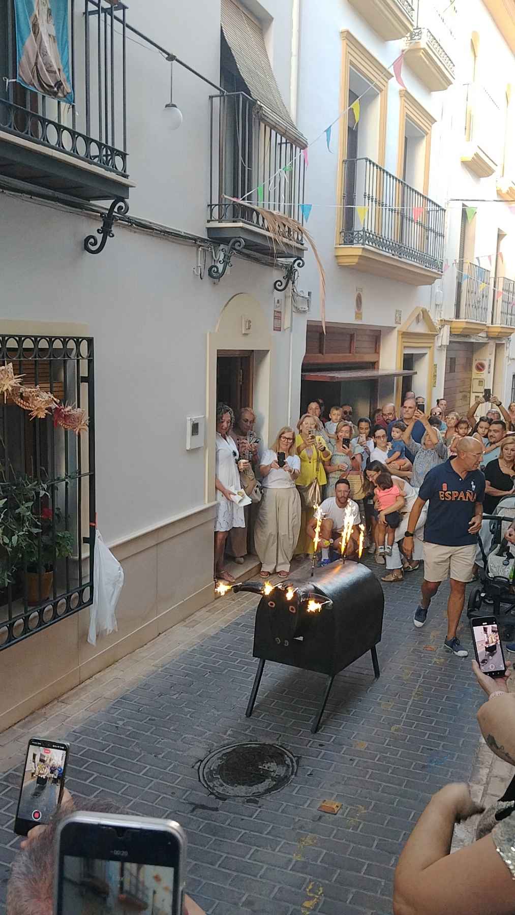 Imagen del recuperado "Toro de Don Domingo".
