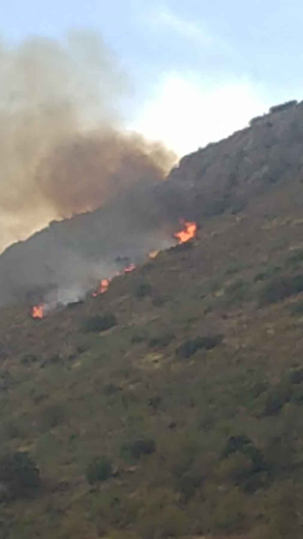 Llamas en el incendio forestal declarado en el término de Luque.