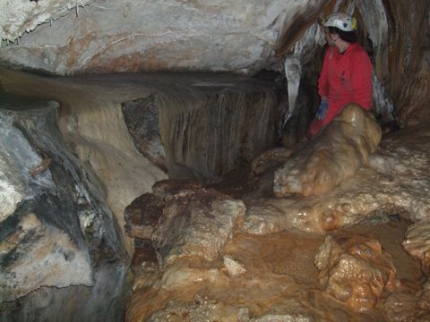 Interior de la Cueva de los Tocinos. (Foto: Cedida)