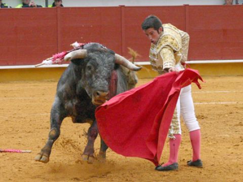 El matador de toros Curro Jiménez el pasado 23 de abril en Priego ante su primer Miura. (Foto: R. Cobo)