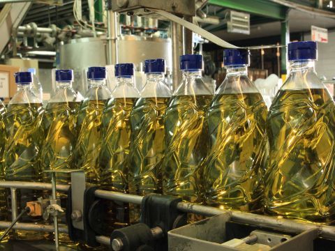 Proceso de envasado del aceite de oliva. (Foto: Cedida)