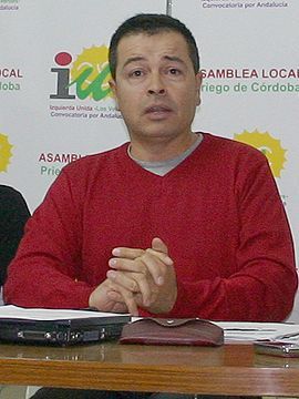 Manuel Rodríguez, portavoz del grupo municipal de IULV-CA. (Foto: R. Cobo)