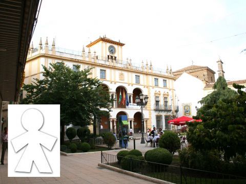 Vista del Palacio Municipal. (Foto: Priego Digital)