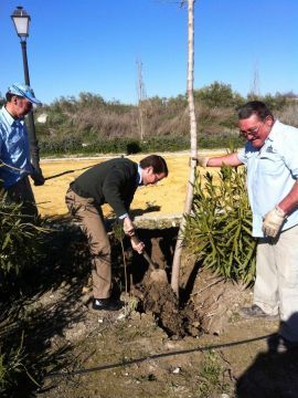 El alcalde Fernando Priego plantando un árbol. (Foto: Cedida)