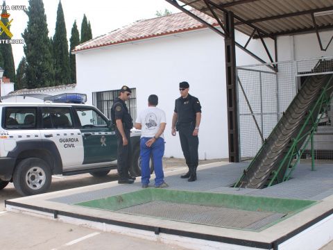 La Guardia Civil recupera en las dos últimas semanas más de ocho toneladas de aceituna sustraída. (Foto: Cedida)