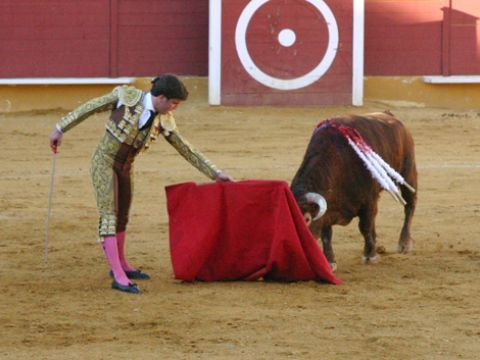 Miguel Ángel Serrano durante la faena de muleta al novillo de su debut con caballos. (Foto: R. Cobo)