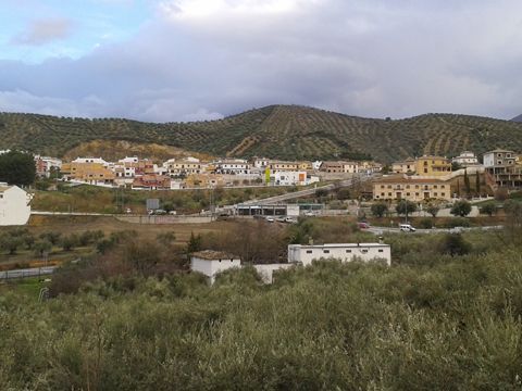 Panorámica de la urbanización Los Almendros, en cuyas inmediaciones está prevista la instalación del depósito de gas. (Foto: R. Cobo)
